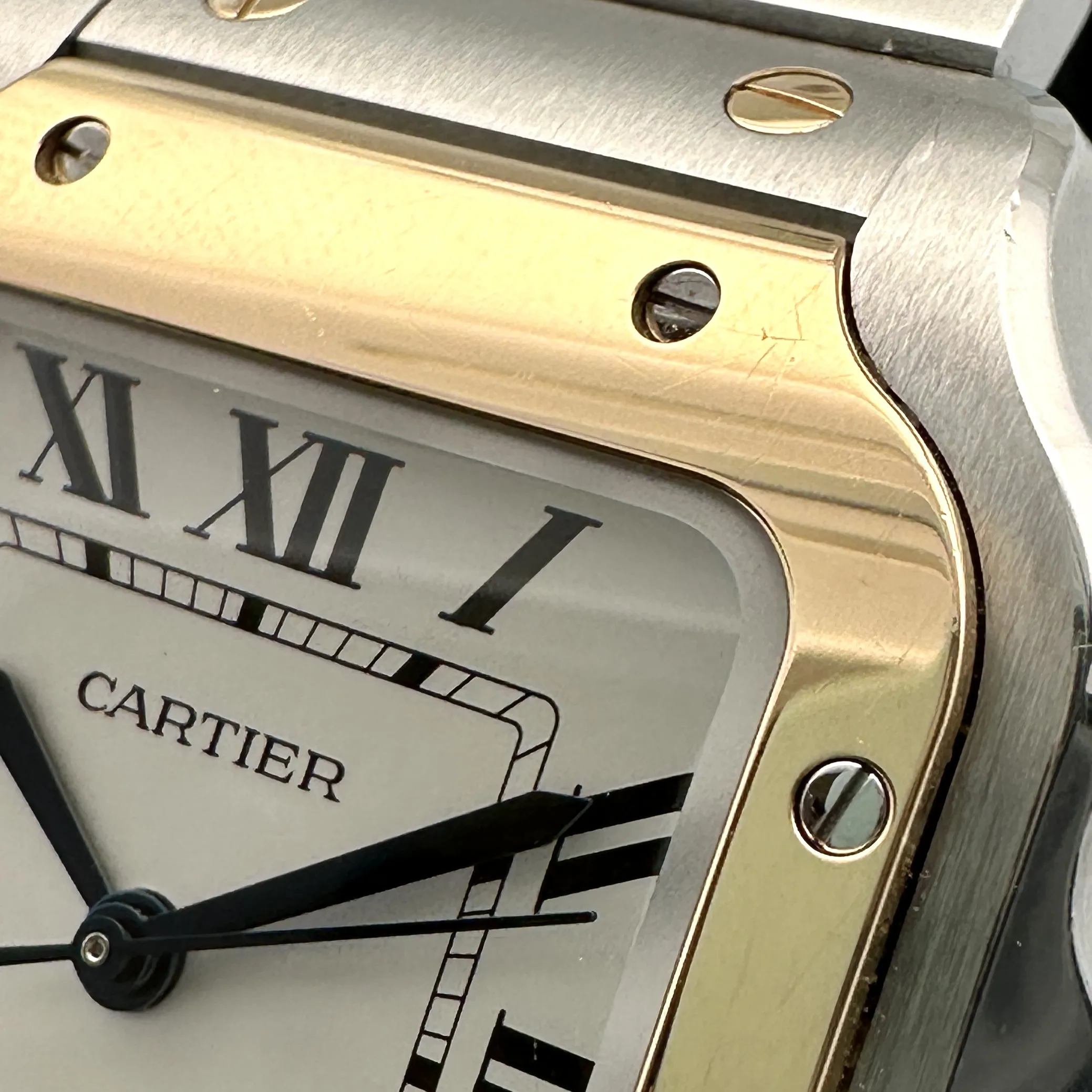 Cartier Santos W2SA0016 Silver 1