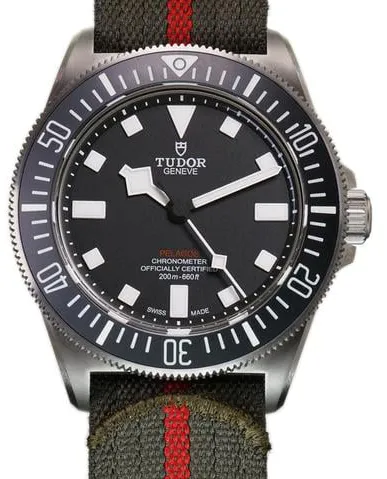 Tudor Pelagos FXD 25717N 42mm Titanium Black 2