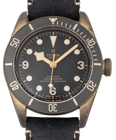 Tudor Black Bay 79250BA 43mm Bronze Gray