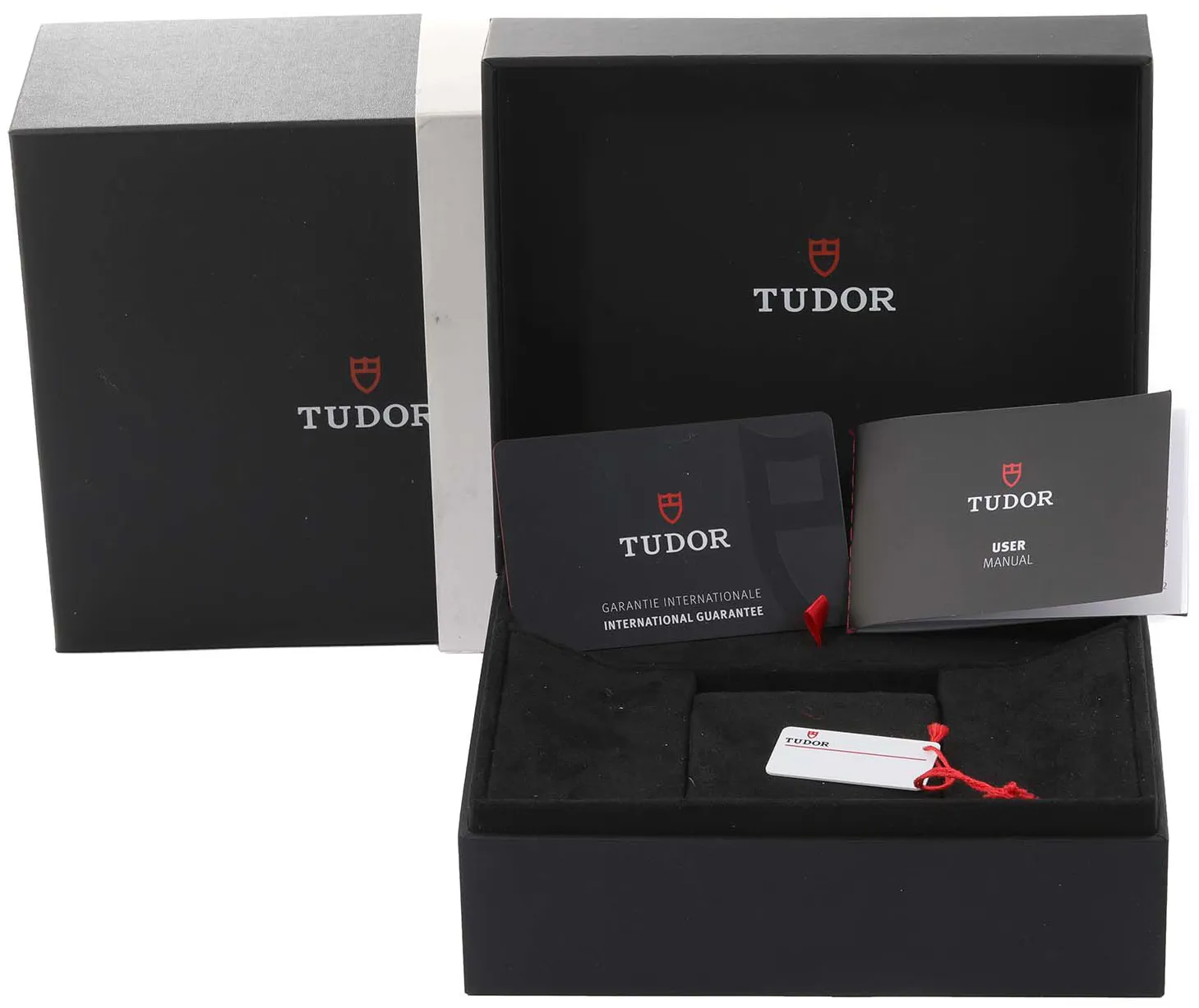 Tudor Black Bay M79360N-002 41mm Stainless steel Opaline silver panda 9