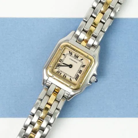 Cartier Panthère 166921 22mm Yellow gold and Stainless steel White