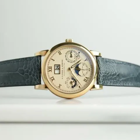 A. Lange & Söhne Langematik Perpetual 310.021 E 38mm Yellow gold White 2