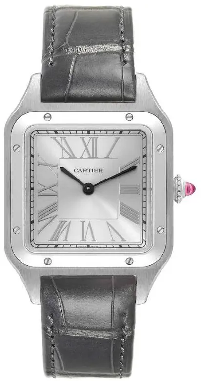 Cartier Santos Dumont WSSA0046 43.5mm Platinum Silver