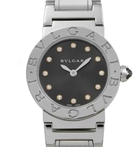 Bulgari Bulgari BBL26C6SS/12 26mm Stainless steel Gray