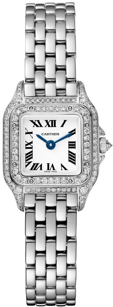 Cartier Panthère de Cartier WJPN0046 25mm White gold and 18k white gold Silver