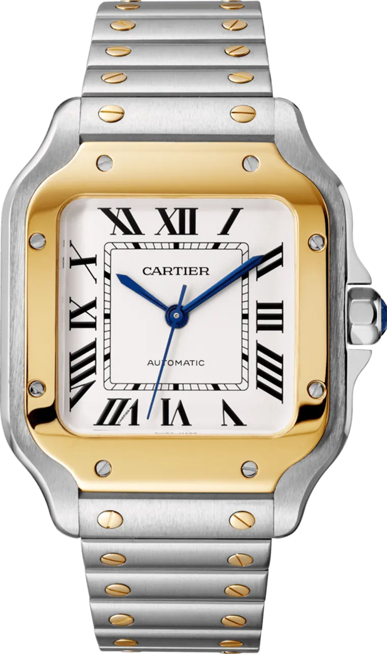 Cartier Santos W2SA0016 35mm Stainless steel Silver