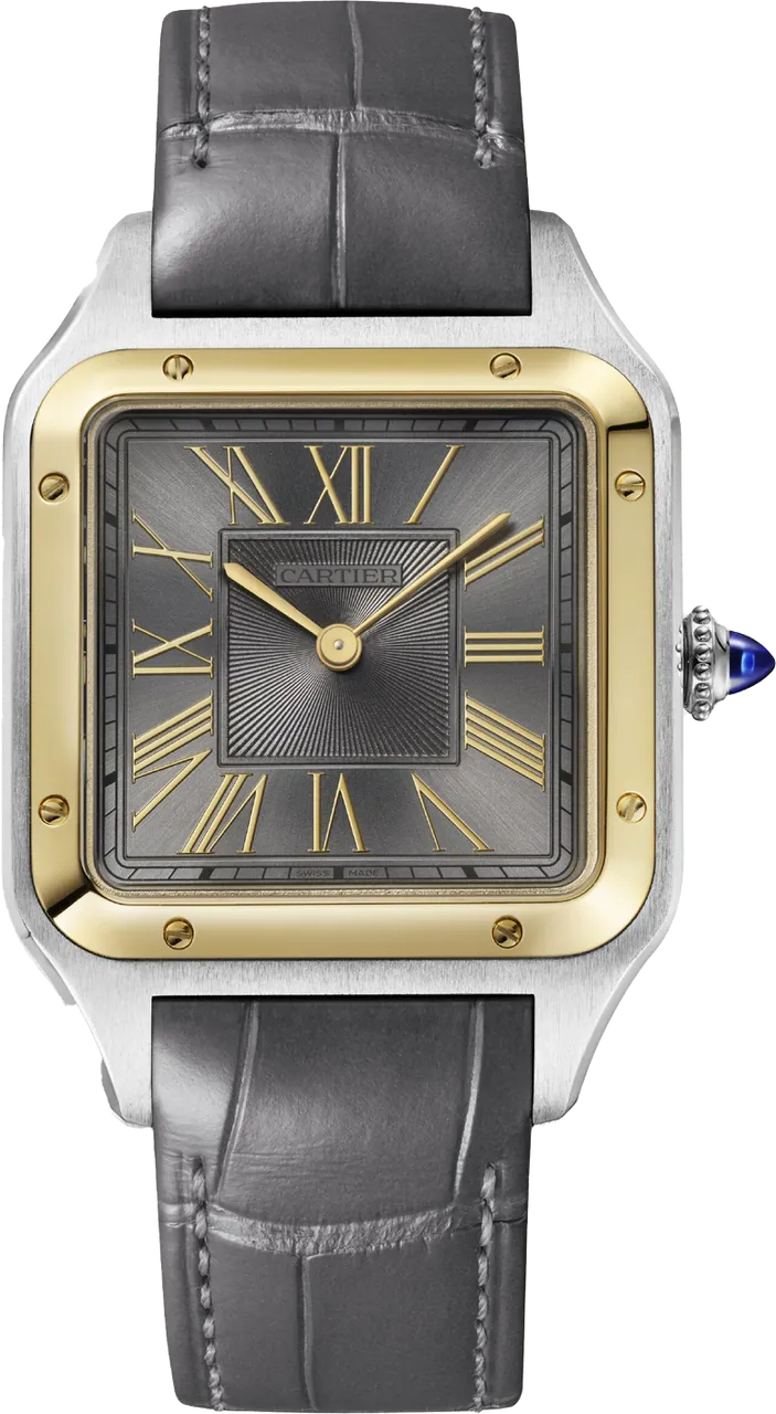 Cartier Santos W2SA0028 43.5mm Stainless steel Gray