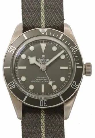 Tudor Black Bay 58 79010SG 39mm Silver