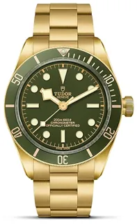 Tudor Black Bay 58 M79018V-0006 18k yellow gold Green