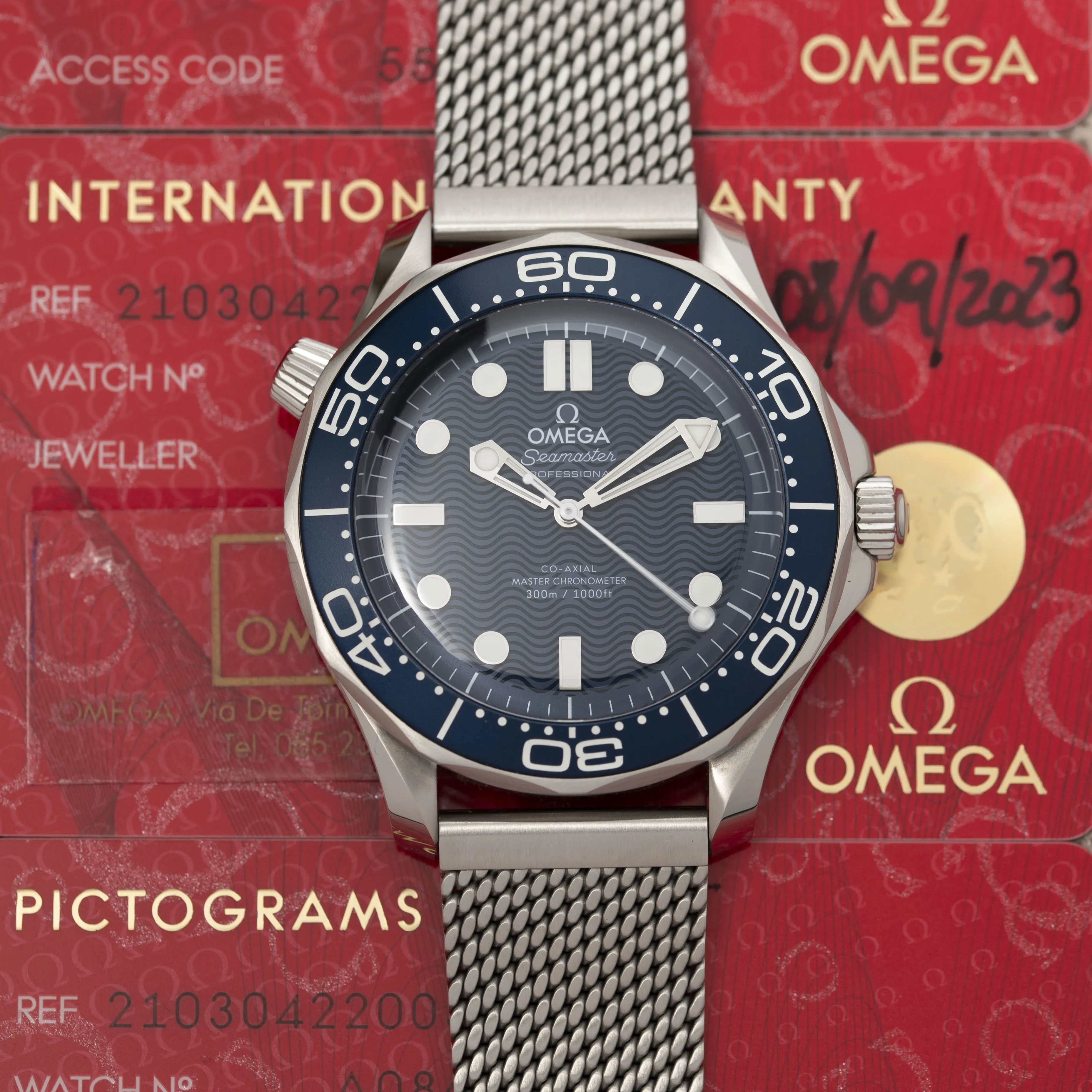 Omega Seamaster 210.30.42.20.03.002 42mm Stainless steel Blue