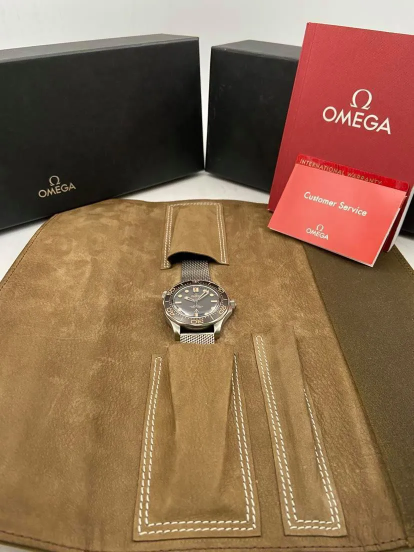 Omega Seamaster Diver 300M 210.90.42.20.01.001 42mm Titanium Brown 2