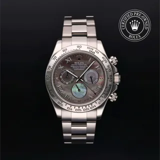 Rolex Daytona 116509-0057 White gold Black