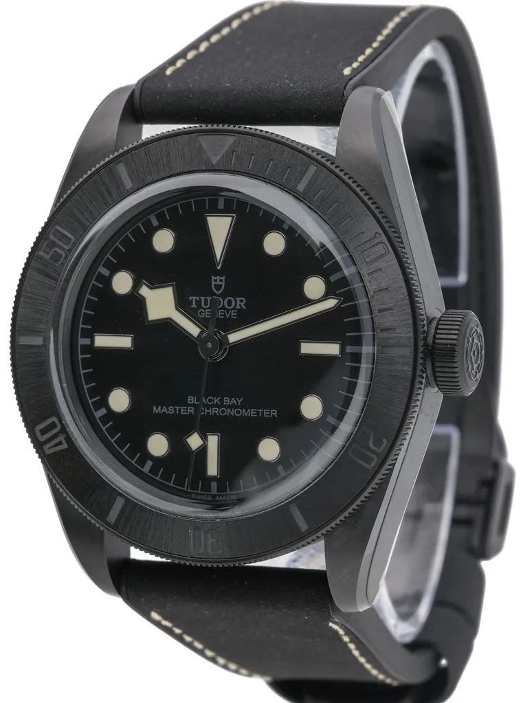 Tudor Black Bay 79210CNU 41mm Ceramic Black 2