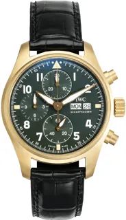 IWC Pilots IW387902 Bronze Green