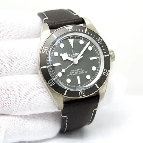 Tudor Black Bay 58 79010SG-0001 39mm Silver Gray