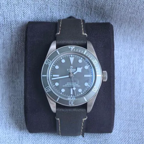 Tudor Black Bay M79010SG-0001 39mm Silver Beige