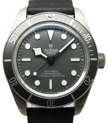 Tudor Black Bay M79010SG-0001 39mm Silver Beige