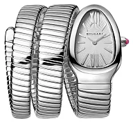 Bulgari Serpenti 101911 35mm Stainless steel Silver