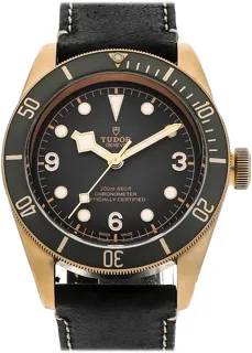 Tudor Black Bay 79250BA-0001 Bronze and Stainless steel Gray