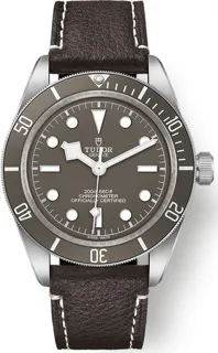 Tudor Black Bay M79010SG-0001 Silver Beige