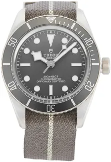 Tudor Black Bay M79010SG-0002 Silver Beige