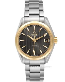 Omega Aqua Terra 231.20.39.21.06.004 Yellow gold and Stainless steel Gray