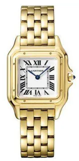 Cartier Panthère de Cartier 18k yellow gold Silver