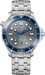 Omega Seamaster 210.30.42.20.06.001 Stainless steel Grey