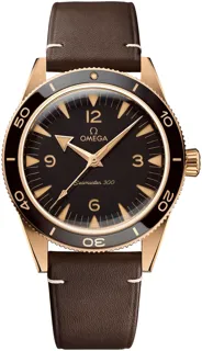 Omega Seamaster 234.92.41.21.10.001 | Bronze