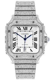 Cartier Santos WSSA0030 Stainless steel Blue