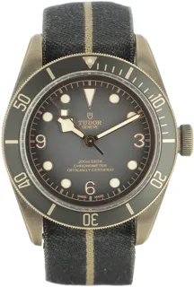 Tudor Heritage 79250BA-0002 Bronze and Stainless steel Gray