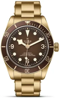 Tudor Black Bay M79012M-0001 Bronze bronze