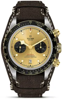 Tudor Black Bay M79363N-0008 Stainless steel Champagne