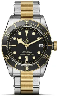 Tudor Black Bay M79733N-0008 Stainless steel and 18k yellow gold Black