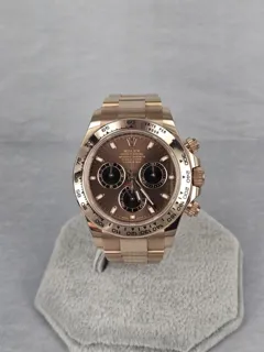 Rolex Cosmograph Daytona 116505-0013 Rose gold Brown