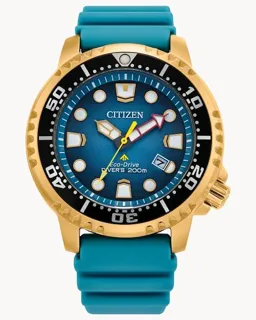 Citizen Promaster BN0162-02X Stainless steel Blue