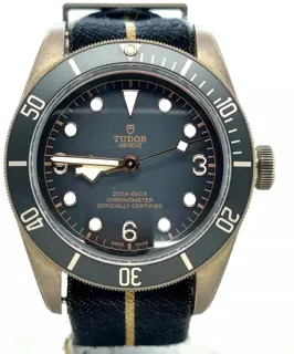 Tudor Black Bay Bronze M79250BA-0002 Bronze Black