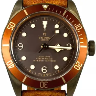 Tudor Black Bay Bronze M79250BM-0001 Bronze Brown