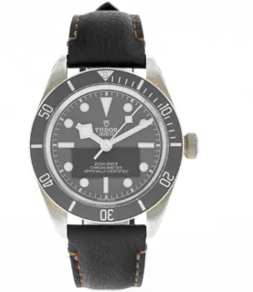 Tudor Black Bay M79010SG-0001 Silver Beige