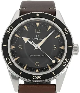 Omega Seamaster 300 234.32.41.21.01.001 Stainless steel Black