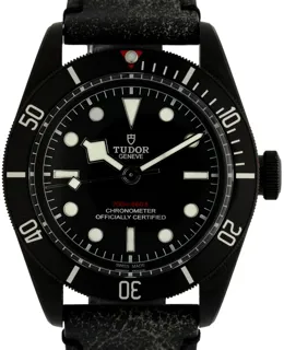 Tudor Black Bay 79230DK-0007 Stainless steel Black