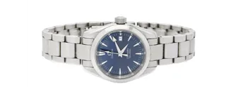 Omega Seamaster Aqua Terra ST 596.1110 Stainless steel