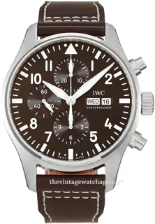 IWC Pilot IW377713 Stainless steel brown