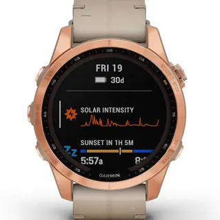 Garmin Fenix 010-02539-35 Titanium and PVD Smartwatch