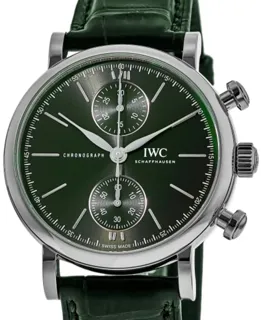 IWC Portofino IW391405 Stainless steel Green