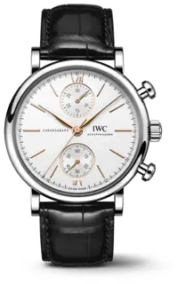 IWC Portofino IW391406 Stainless steel Silver