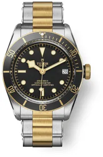 Tudor Black Bay M79733N-0008 Stainless steel Black