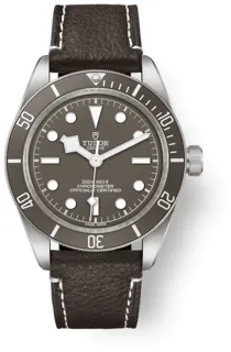 Tudor Black Bay M79010SG-0001 Silver Beige