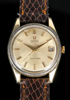 Omega Seamaster Stainless steel and Gold-plated Golden