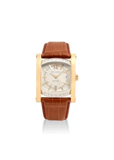 Bulgari Assioma AA48SG Yellow gold and Stainless steel Silver